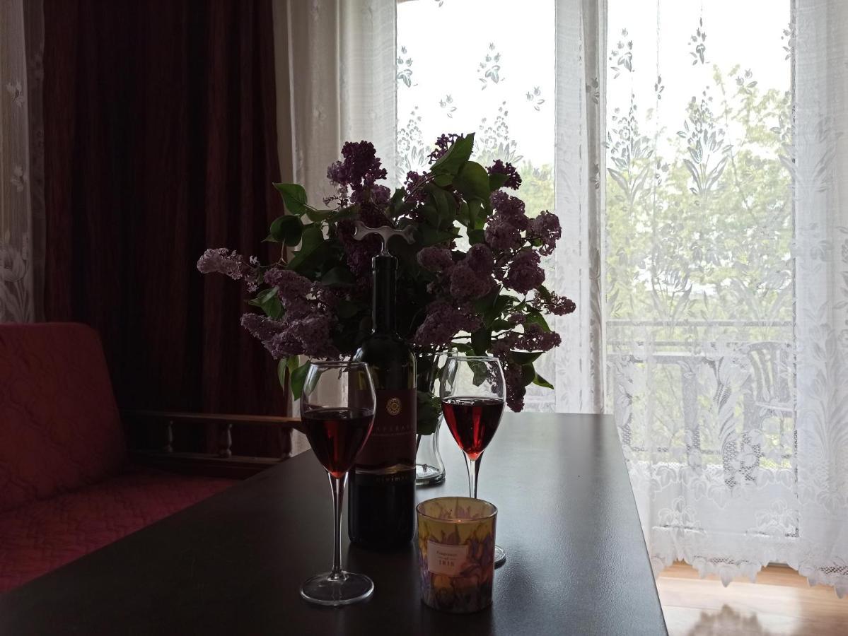 Apartament-Studio, Pokoje U Lucy Rabka Εξωτερικό φωτογραφία