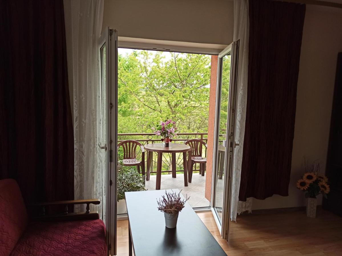 Apartament-Studio, Pokoje U Lucy Rabka Εξωτερικό φωτογραφία