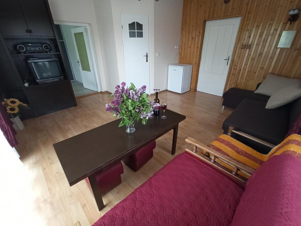 Apartament-Studio, Pokoje U Lucy Rabka Εξωτερικό φωτογραφία